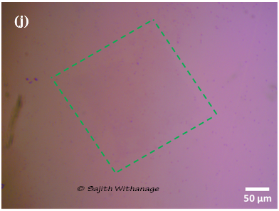 Single Crystalline Graphene by Low-Pressure CVD Method Sajith Withanage_10