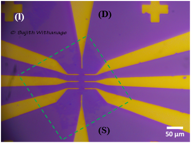 Single Crystalline Graphene by Low-Pressure CVD Method Sajith Withanage_12