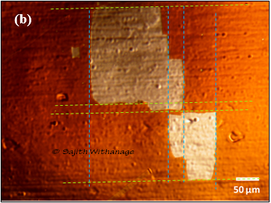 Single Crystalline Graphene by Low-Pressure CVD Method Sajith Withanage_2