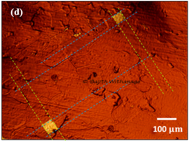 Single Crystalline Graphene by Low-Pressure CVD Method Sajith Withanage_4