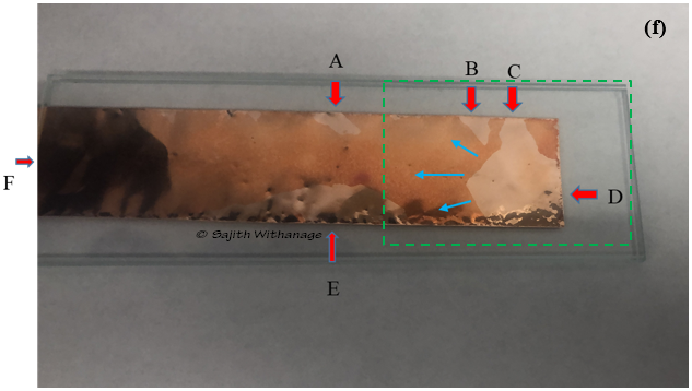 Single Crystalline Graphene by Low-Pressure CVD Method Sajith Withanage_6