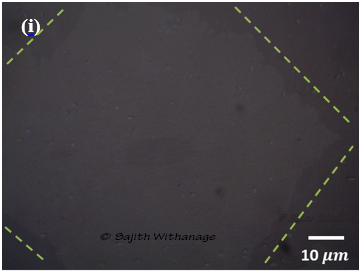 Single Crystalline Graphene by Low-Pressure CVD Method Sajith Withanage_9